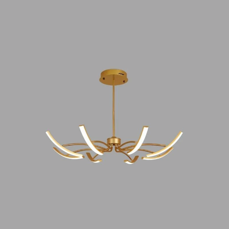 1 549.webp 8 428.webp