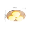 9 106.webp