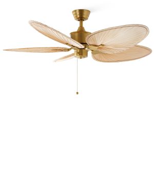 wl f42 07 v06 natbra 1.jpg