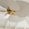 wl f42 09 v03 whibra 3.jpg